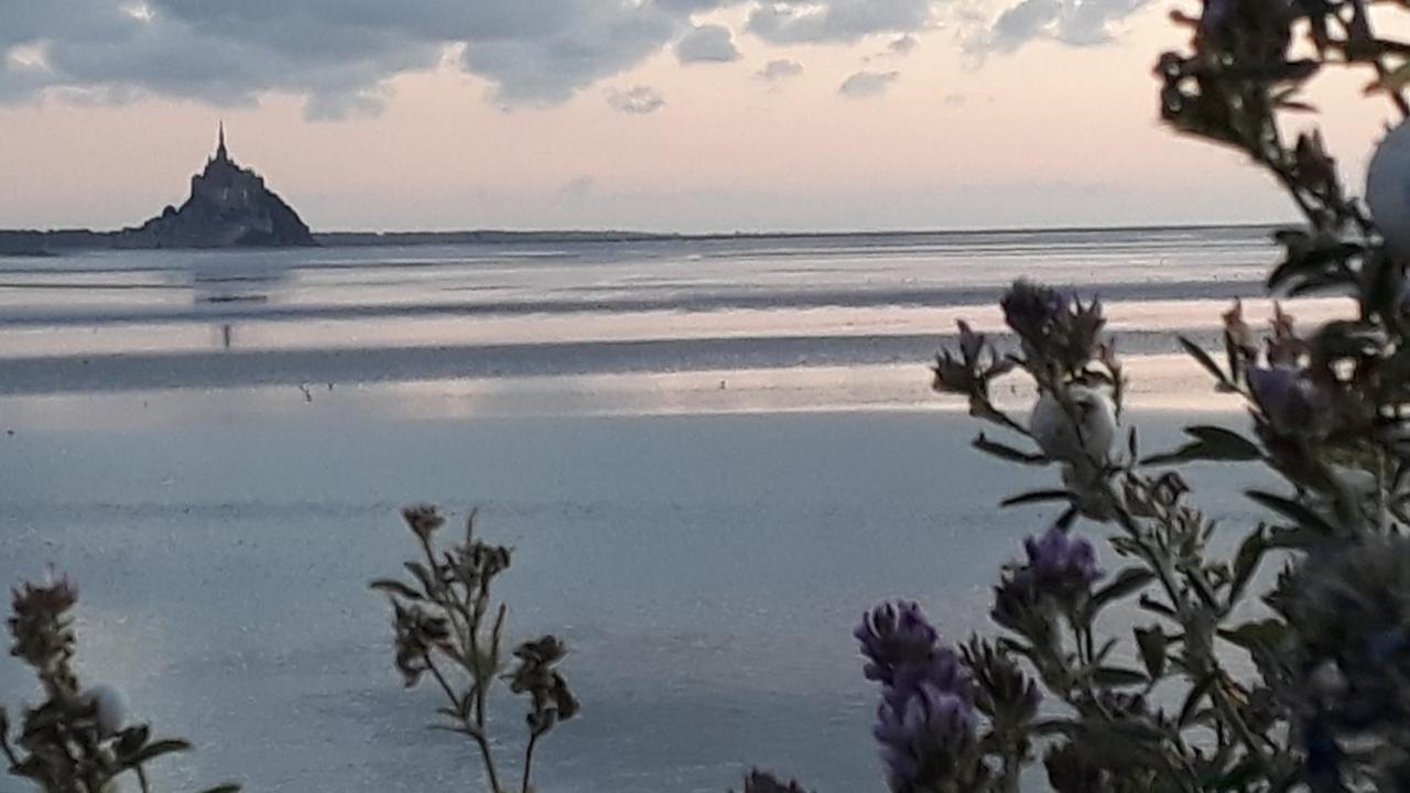 Gite La Bulle En Baie, Proche Mont Saint-Michel, Au Calme, Pour 4 Pers Crollon Екстериор снимка